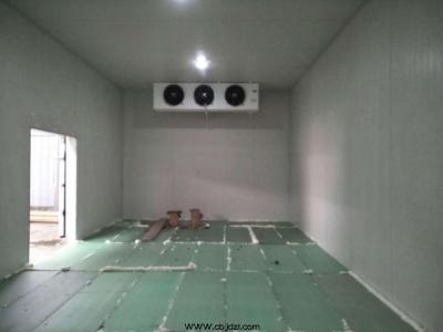 南充农业蔬菜有限公司