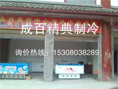 成都津达志远冻库